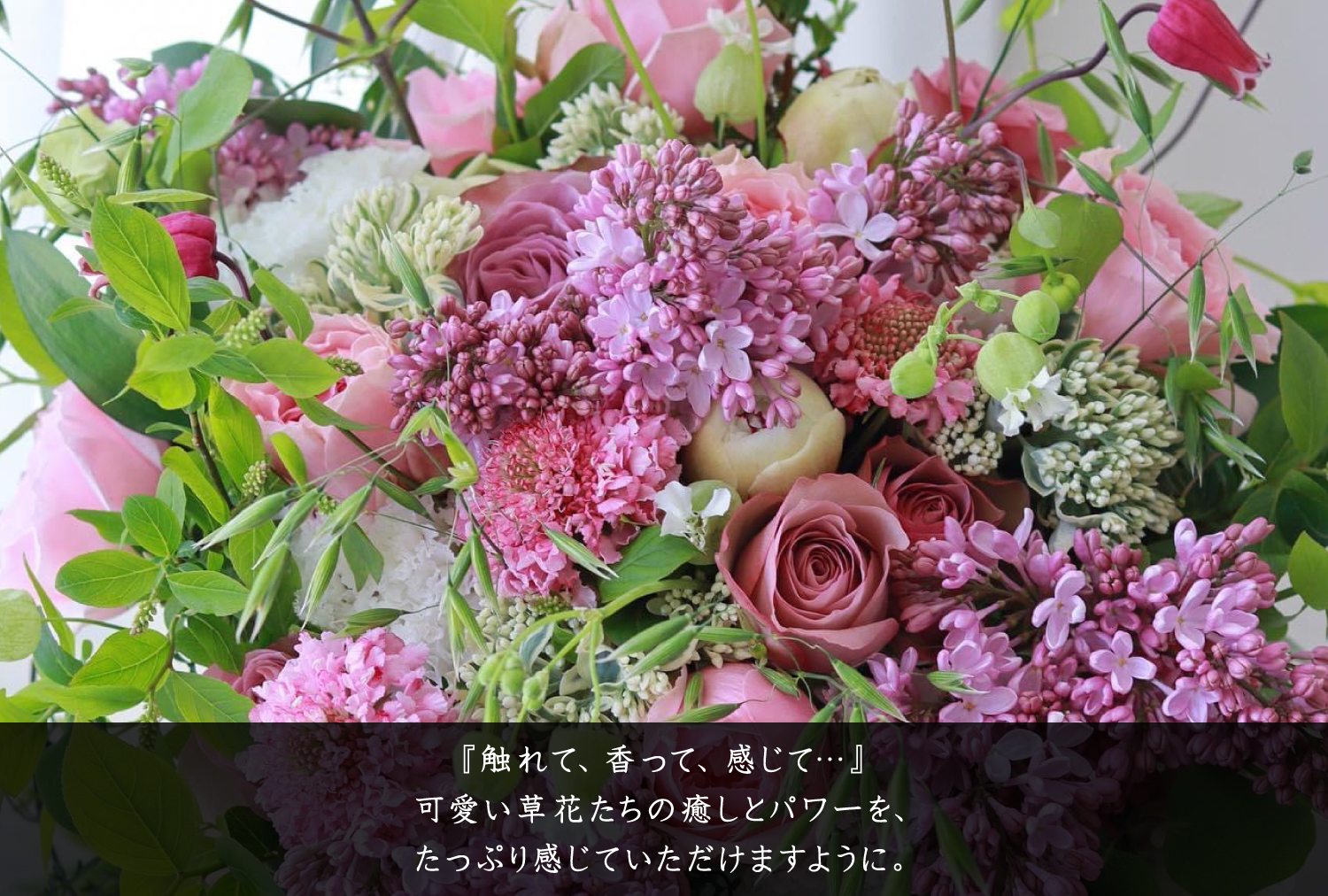 『触れて、香って、感じて…』 可愛い草花たちの癒しとパワーを、たっぷり感じていただけますように。